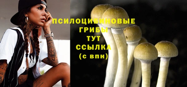 бутират Баксан