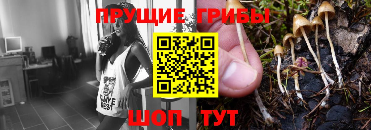 Печора  Псилоцибиновые грибы прущие грибы  Псилоцибиновые грибы ЛСД  где продают   Вход с VPN 